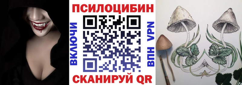 Псилоцибиновые грибы Cubensis  Купить закладки  Темрюк 